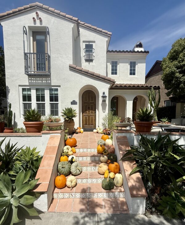 Fall Package #2