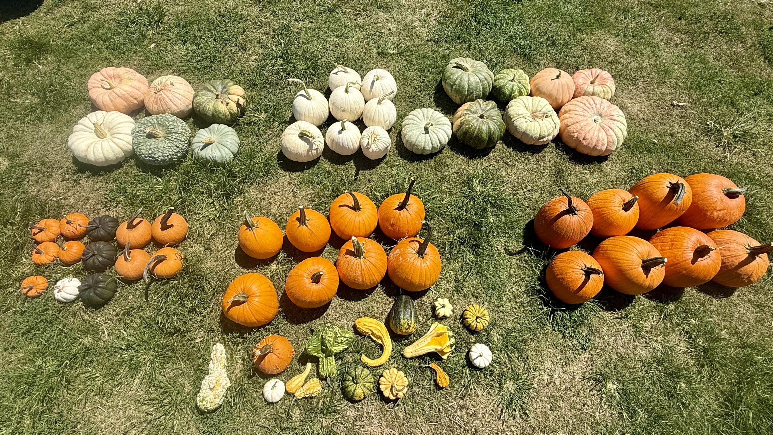 Fall Package #2 - Image 3