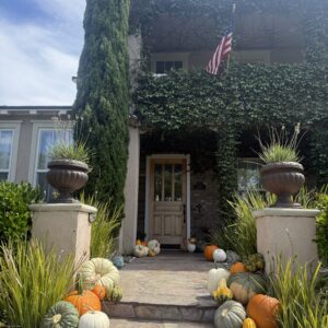 Fall Package #3