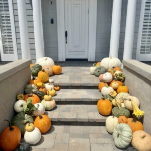 Fall Package #1