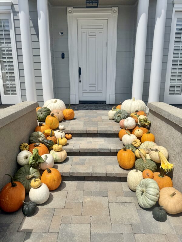 Fall Package #1